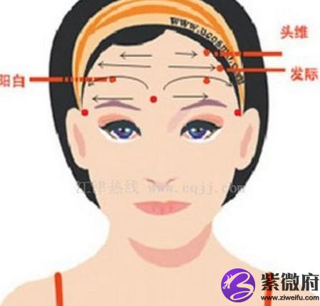 是在人脸头发以下,眉毛以上的部分,或某些动物头部大致与此相当的部位