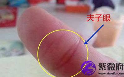 女人左手有夫子眼是吉还是凶