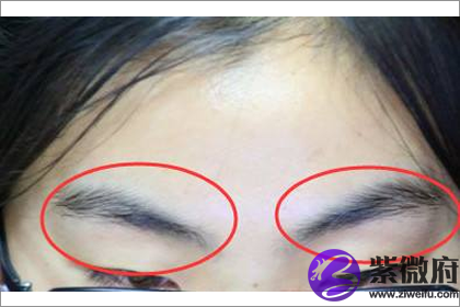 拥有扫帚眉眉形的女人命理详解