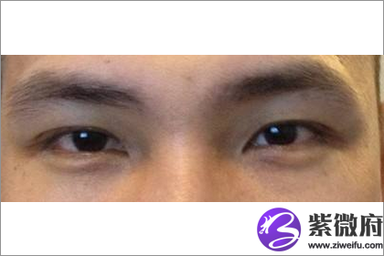 拥有扫帚眉眉形的男人命理详解