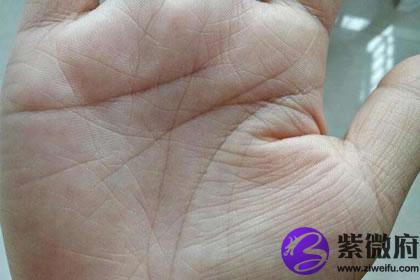 手掌中有星纹桃花运如何