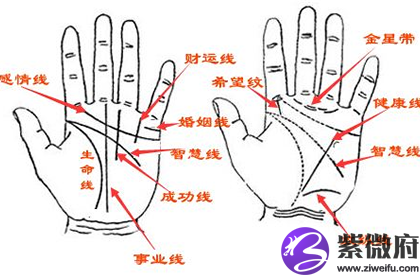 十大横财手相你有没有