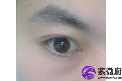 揭秘龙眉的面相分析