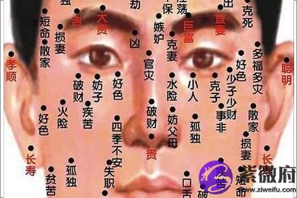 鼻梁左侧有痣的男人在工作上这些地方需谨慎