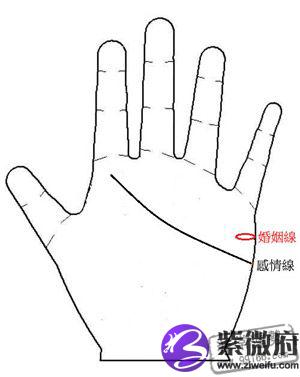 手相图解:婚姻线看你会不会离婚