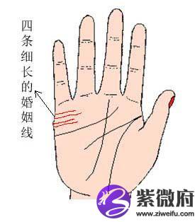 四条婚姻线预示着什么