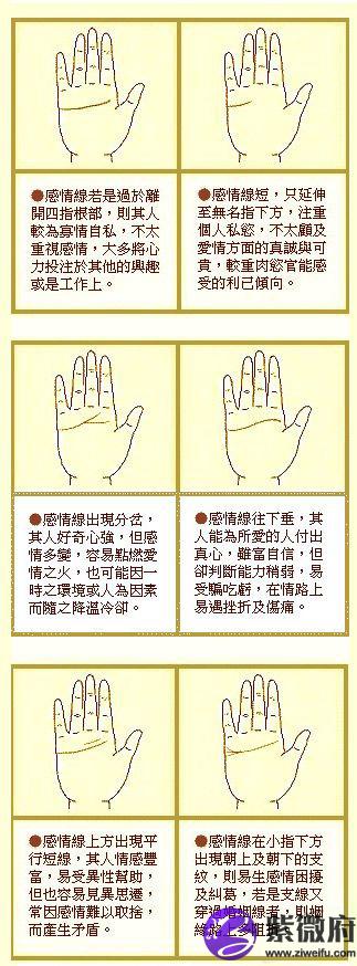 最详细的感情线图解