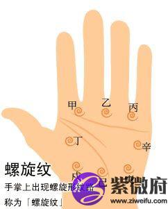 手相螺旋纹图解