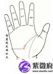 智慧线末端分叉手相图解