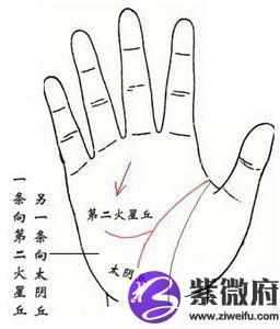 智慧线末端分叉手相图解