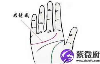 手相图解:感情线上长痣有什么含义?