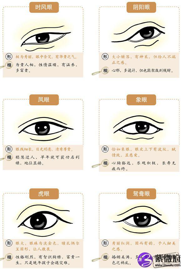 眼睛看相眼睛分析你的运势