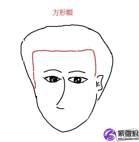 额头形状看你是不是聪明人