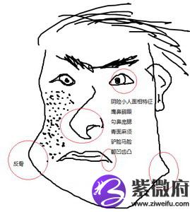 2016年需学会小人面相怎么看