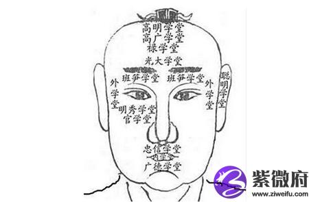 从面相看出你的社会地位