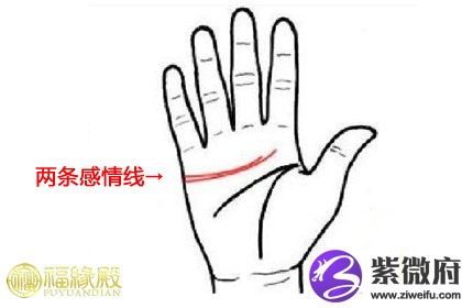 两条感情线图解是什么意思