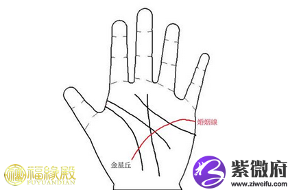 感情线图解大全揭露真实的感情线