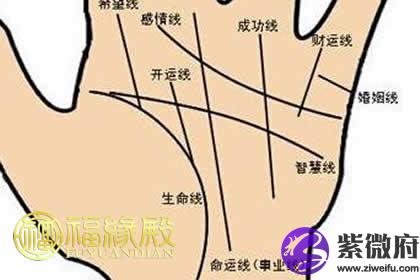 命运线和太阳线是同一个吗