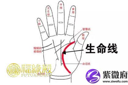 手掌有两条生命线代表什么