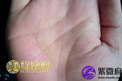 川字掌的女人性格和命运如何