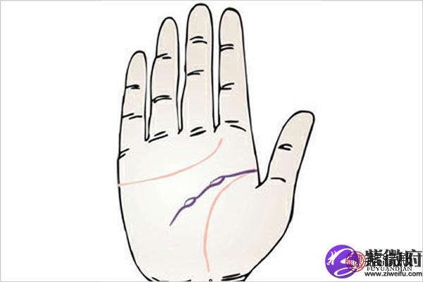 智慧线岛纹图解