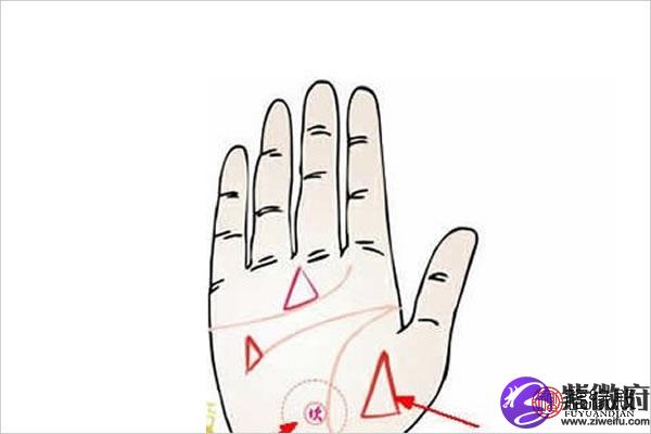 智慧线上有三角纹:寓意 智慧线作为三大主线之一,其代表的是智慧与