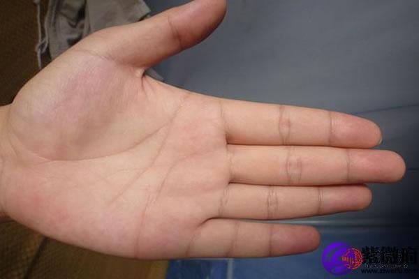 感情线向下支线多图解 紫微府