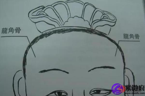伏羲骨和龙角骨区别提问:伏羲骨和龙角骨分别是什么,面相如何?