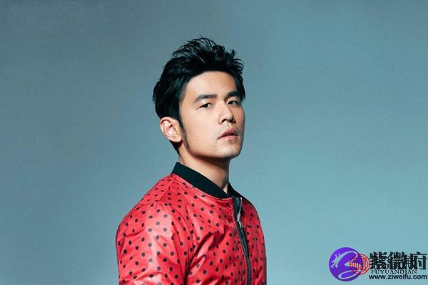 招风耳男明星有哪些