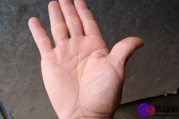 手相中没有命运线代表什么