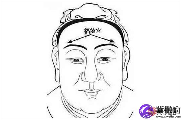 坐守福德宫,命主之精神享受必以物质享受为基础,化禄者尤甚,贪狼同度