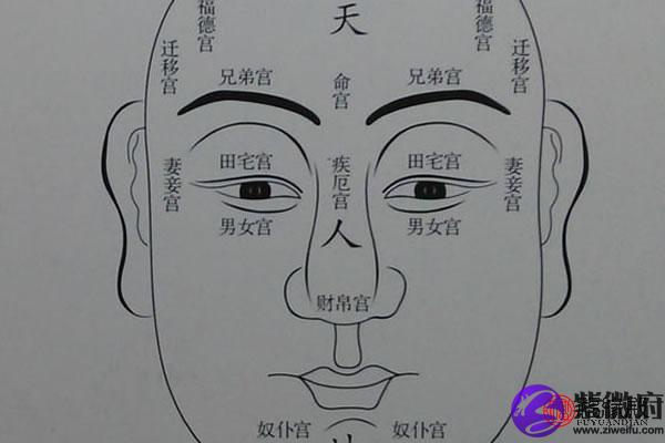 面相命宫是什么意思
