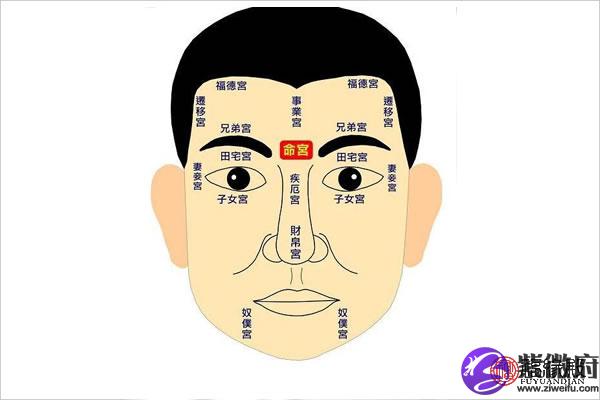 命宫陀罗_面相分析