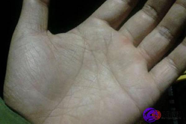 感情线有三角纹_手相分析