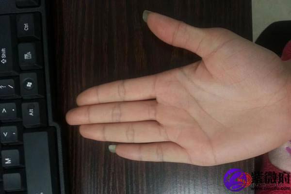 右手川字掌的女人好么川字掌女人命运