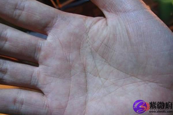 女人右手生命线坎宫大三角代表什么