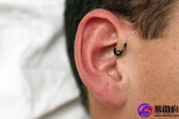 官运亨通7,耳有仓眼,钱财满钵6,耳朵贴脑,身居要职5,耳门宽大,心胸