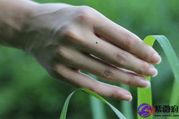 女人右手中指有痣代表什么在相学女人右手中指长痣往往是代表着自身