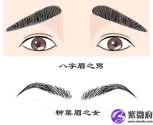 八字眉的特征是眉身特别上扬,到眉尾部份又陡然下降.