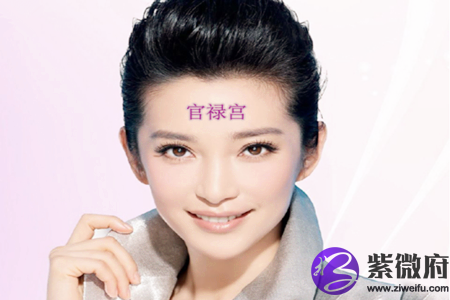 面相十二宫之官禄宫