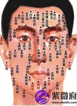 2.父母宫处有痣