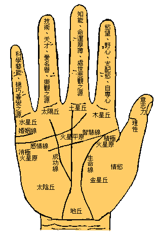 从手相看感情运势