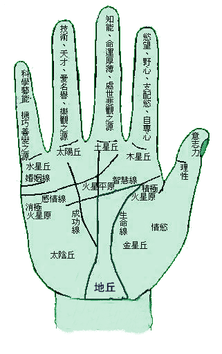 手相图解手指指节所代表的性格