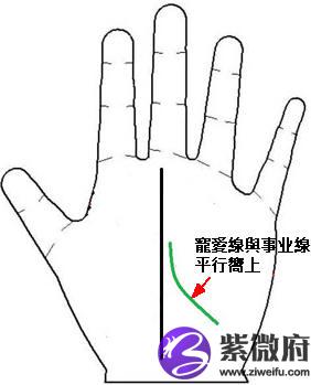手掌中的辅助纹线宠爱线