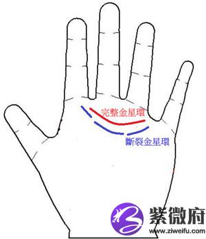 手掌中的辅助纹线——金星环