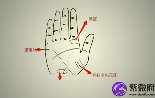 手掌与手腕交接处—竖纹这是属于情欲流动的桃花纹路,在这个部位的竖