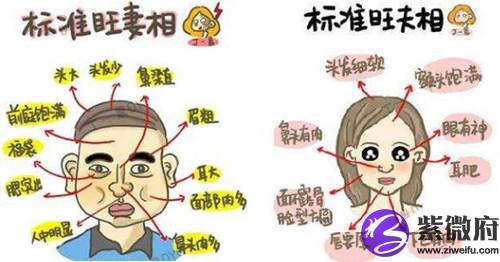 男旺妻女旺夫的面相长这样