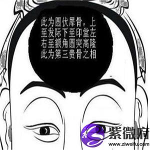 1 伏犀骨可见,能做高官能够看见伏犀骨的人,一定可以做大官.