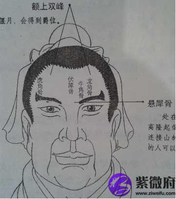 命中注定福气旺的三大面相