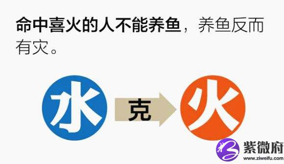 五行缺火带啥最旺 五行缺火带啥最旺